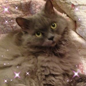 Meet your Posher, Barb